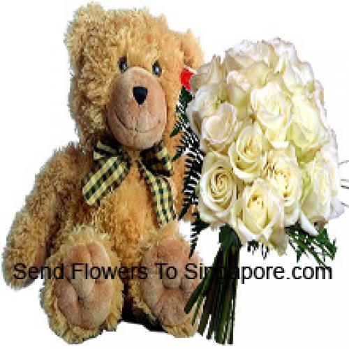 18 White Roses with 14 Inch Teddy