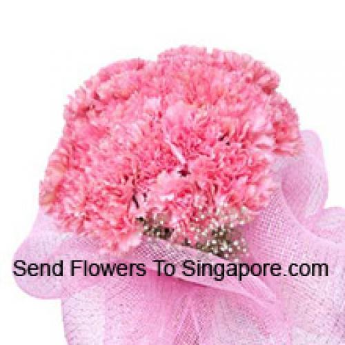 Cute 24 Pink Carnations