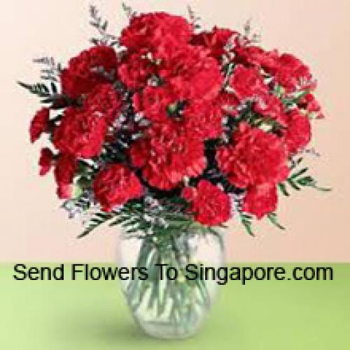 36 Red Cute Carnations