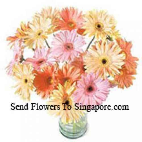 24 Fanc​​y Assorted Gerberas