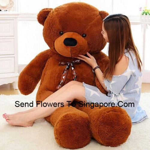 4 Feet Cute Brown Teddy