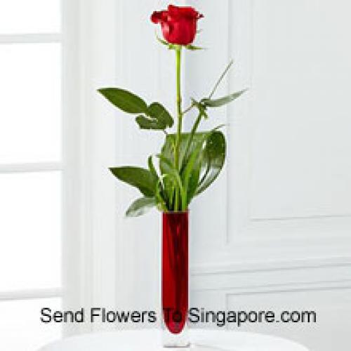 Cute Single Red Rose